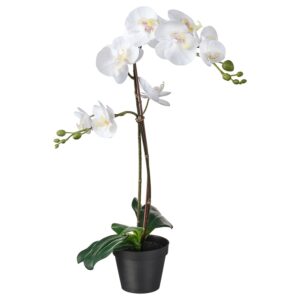 ikea-fejkaartificial-potted-plant-orchid-white12-cm
