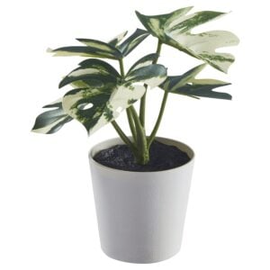 ikea-fejkaartificial-potted-plant-with-pot-inoutdoor-monstera6-cm